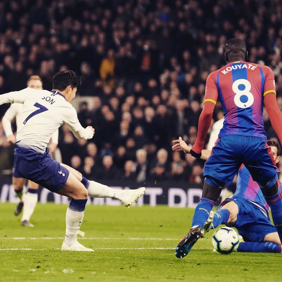 教練團隊的 教練團隊的